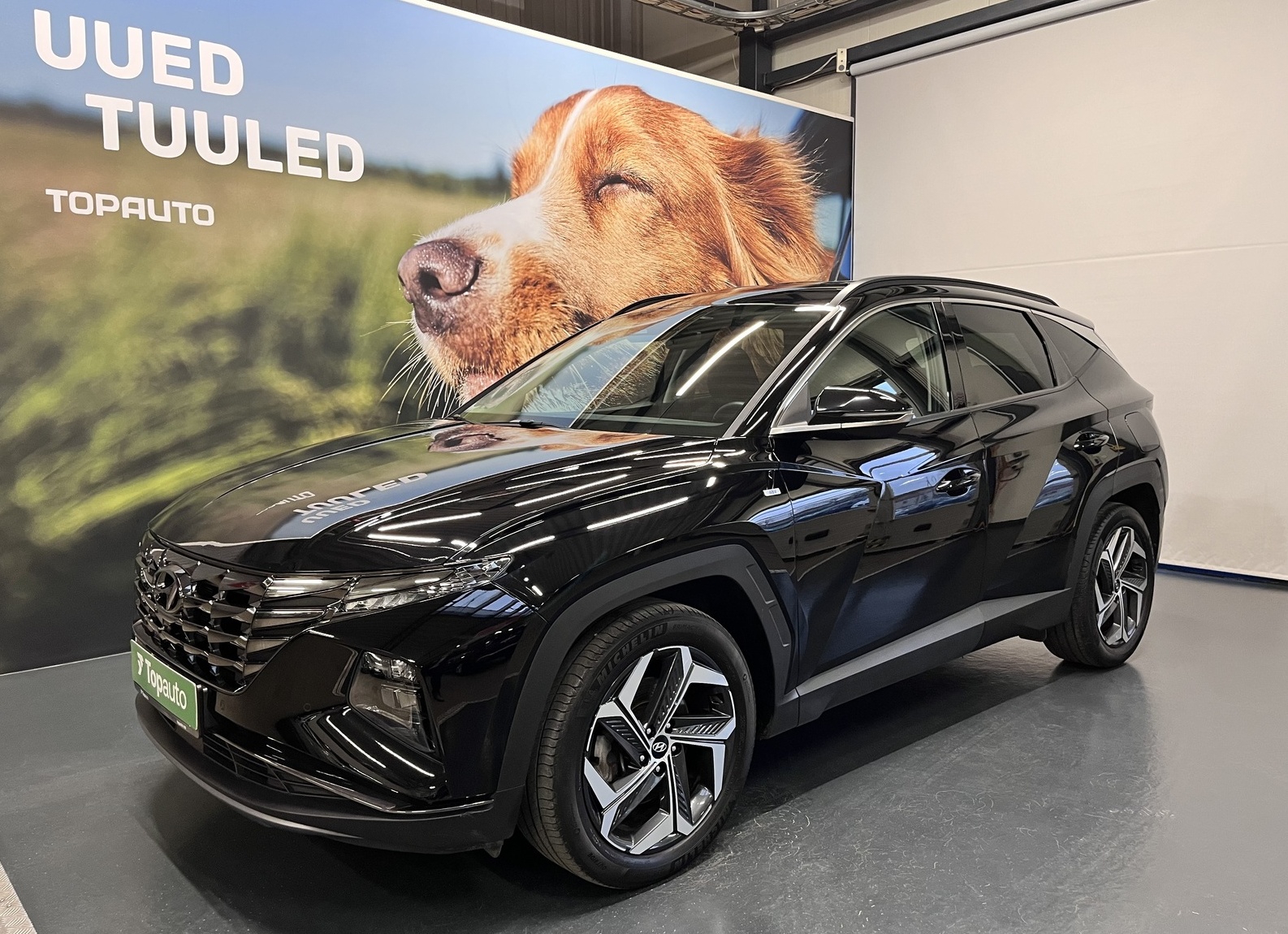 Hyundai Tucson PHEV: два зверя под общей шкурой