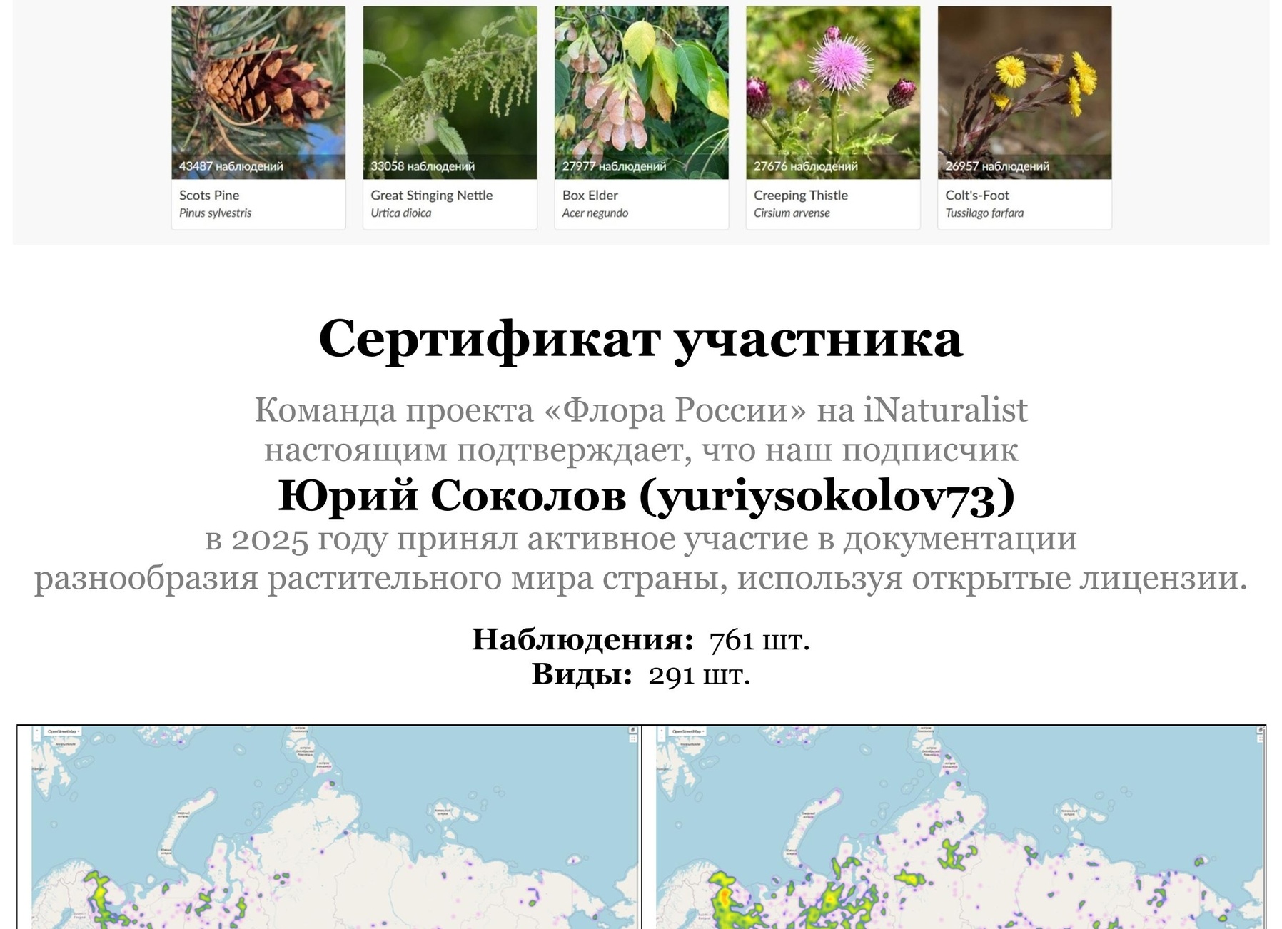 Корейцы нашли лазейку. В России появились в продаже новые автомобили HYUNDAI.