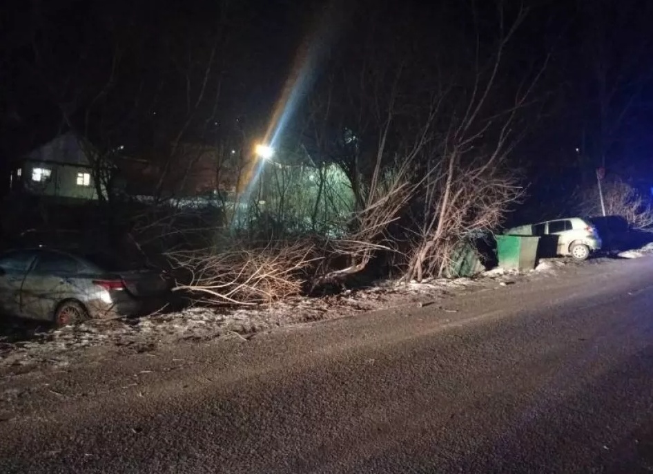 В Республике Алтай два автомобиля Hyundai не поделили дорогу и зацепили пешехода