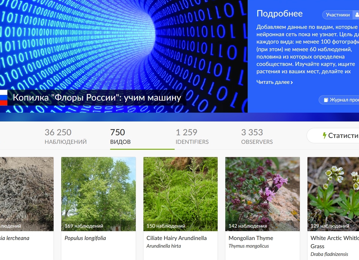 Почему корейские автомобили нашей сборки оказались не нужны людям — менеджер рассказал, почему автомобили Solaris не покупают